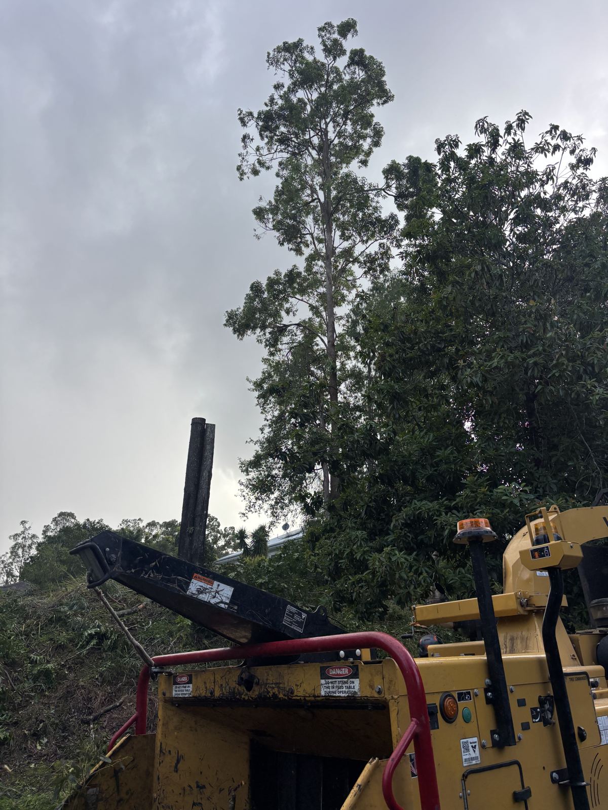The chipper earning its keep