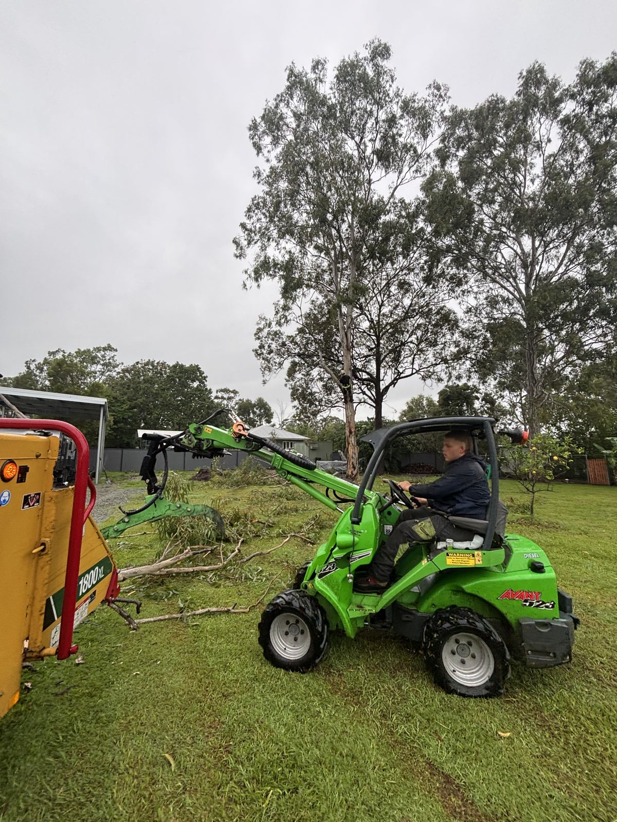 Compact loader clearing timber