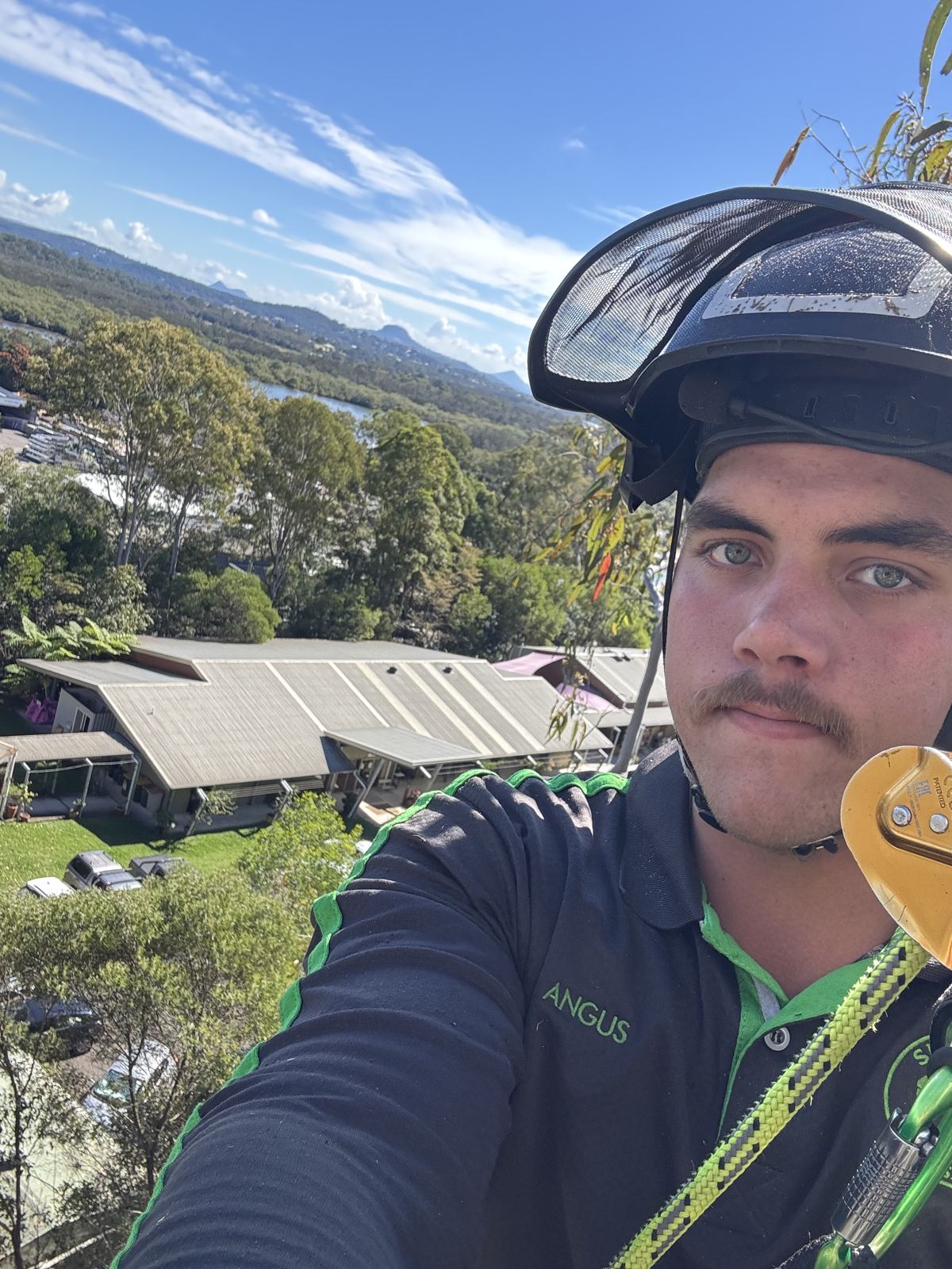 Summit Tree Services arborist on site